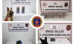 Bingöl’de jandarma ekipleri huzur ve güven için sahada