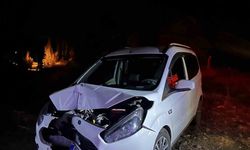 Bingöl’de trafik kazası: 2 yaralı