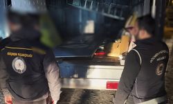 Bitlis’te 12 düzensiz göçmen yakalandı, 2 organizatör tutuklandı