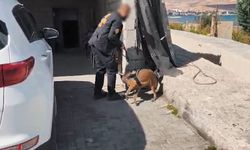 Bitlis’te uyuşturucu operasyonu: 5 kişi tutuklandı