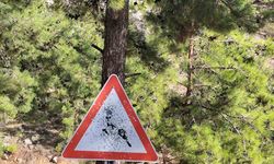 Bozyazı yayla yolunda trafik levhalarına kurşunlu saldırı