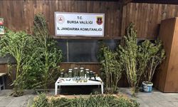 Bursa’da 9 kilo 400 gram esrar ele geçirildi
