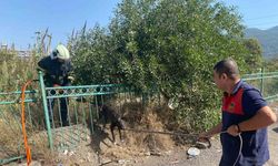 Demir korkuluğa sıkışıp mahsur kalan köpeği itfaiye kurtardı