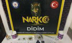 Didim’de uyuşturucu operasyonu: 1 tutuklu