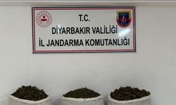 Diyarbakır’da 15 kilo skunk ele geçirildi