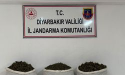Diyarbakır’da uyuşturucu operasyonları