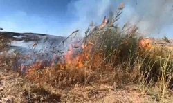 Elazığ’da otluk alanda yangın
