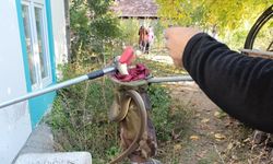 Eve giren yılan paniğe neden oldu