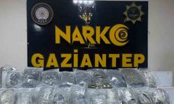 Gaziantep’te 13 kilo skunk ele geçirildi