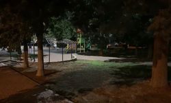 Gaziantep’te parkta vahşet: Uygunsuz hareketlerde bulunan çifti uyardı, kaskla öldürüldü