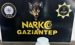 Gaziantep’te uyuşturucu operasyonları: 183 tutuklama