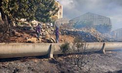 Gazipaşa’da zirai alanda yangın büyümeden söndürüldü