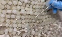 Gelinliğin üzerine boncuk şeklinde işlenmiş 25 kilo uyuşturucu ele geçirildi