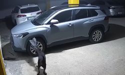 Gerçek güvenlik kamerası görüntülerini izleyince ortaya çıktı