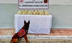 Hakkari’de 15 kilogram esrar ele geçirildi