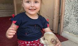 Bursa'da Berra'yı öldükten günler sonra MEBBİS sistemine kayıt etmişler!