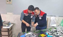 Hayrabolu’da balık satış yerleri denetlendi