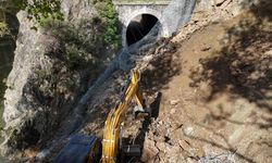 Heyelan demir yolunu kapattı, tren seferleri durduruldu