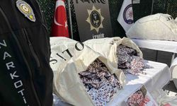 İzmir’de rekor miktarda sentetik ecza yakalandı