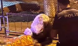 İzmir’deki bıçaklı dehşette cinayet şüphelisi tutuklandı