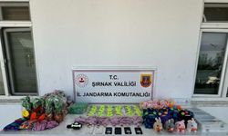 Jandarmadan kaçakçılık operasyonu: 98 şüpheli hakkında yasal işlem yapıldı