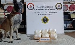 Kamyonete gizlenmiş uyuşturucuyu dedektör köpeği buldu: 4 kilo uyuşturucu ve 4 bin adet hap ele geçti
