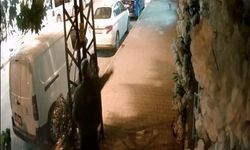 Bursa'da kuaförün camlarına yumurta fırlattı