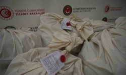 Kapıkule’de 113 kilo esrar ele geçirildi