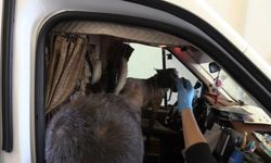 Kapıkule’de kamyonetten 36 kilo kokain çıktı