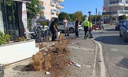 Kaza sonrası olay yerinden kaçtı, alkollü olduğu ortaya çıktı