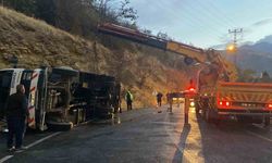 Kemaliye’de canlı hayvan taşıyan çekici devrildi: 2 hayvanın ayağı kırıldı