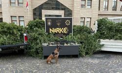 Kilis’te uyuşturucu operasyonu: 1 tutuklama