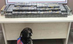Kimlik kontrolü için durdurulan 2 tırdan 560 paket kaçak sigara ele geçirildi