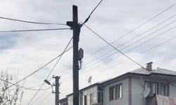 Köpeklerden kaçtı, direkte mahsur kaldı