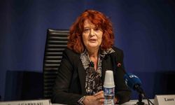 Louvre soygununda yakalanan 2 şüpheli suçlarını kısmen kabul etti