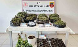 Malatya’da 13 kilo esrar ele geçirildi: 5 şahıs tutuklandı
