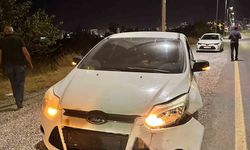 Malatya’da otomobilin çarptığı domuz telef oldu