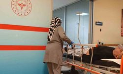 Bursa'da mantar yedi hastanelik oldu