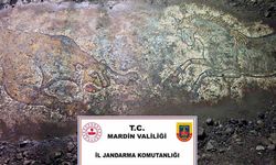Mardin’de "Anadolu Mirası" operasyonunda 1500 yıllık mozaik ele geçirildi