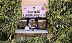 Mersin’de uyuşturucu operasyonu