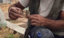 Mezarlıktan kefenlenmiş oyuncak bebek çıktı
