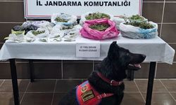 Muş’ta uyuşturucu operasyonu: 1 gözaltı