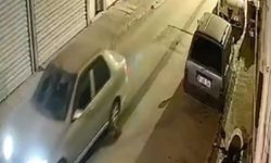 Nesli tehlike altındaki hayvanı aracıyla metrelerce sürükledi