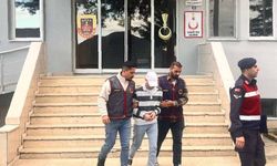 Ordu’da evden fındık çalan şüpheli tutuklandı