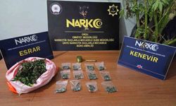 Ordu’da uyuşturucu operasyonlarında 2 tutuklama