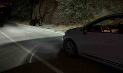 Otomobilin arkadan çarptığı motosiklet yoldan çıktı: 1 yaralı