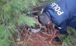 Polis kaçak avcılık tuzağı ele geçirdi