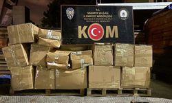 Sakarya’da ele geçirildi: Piyasa değeri 2 milyonun üzerinde