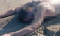 Sakarya’da sahilde çıplak erkek cesedi bulundu