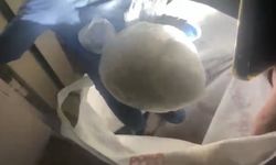 Samsun’da 183,8 gram uyuşturucu ele geçirildi